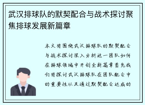 武汉排球队的默契配合与战术探讨聚焦排球发展新篇章